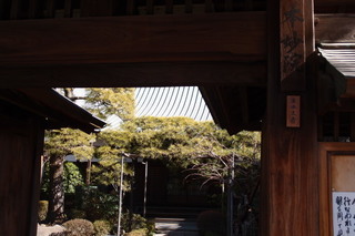 P2027480.jpg
