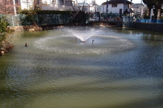 P2027510.jpg