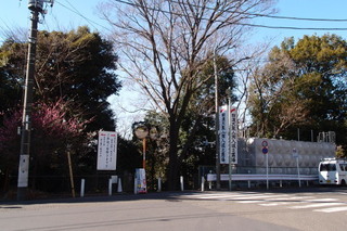 P2027517.jpg
