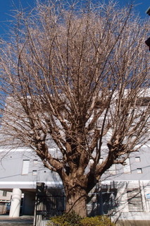 P2033688.jpg