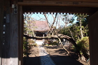 P2033711.jpg
