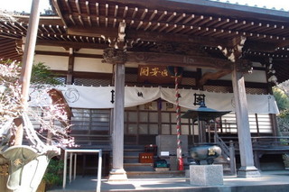 P2033724.jpg