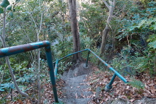 P2033739.jpg