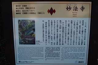 P2033744.jpg