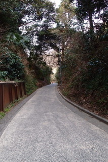 P2053772.jpg