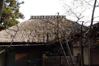 P2053785.jpg
