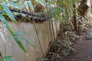 P2053787.jpg