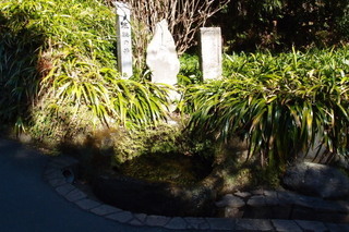 P2073801.jpg