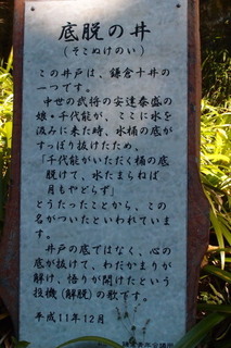 P2073802.jpg