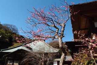 P2073812.jpg