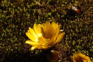 P2073813.jpg
