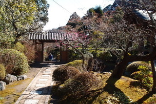 P2073816.jpg
