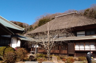 P2073826.jpg