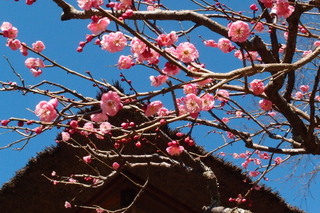 P2073830.jpg