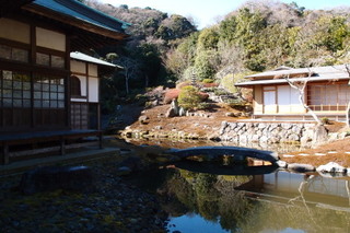 P2073842.jpg