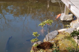 P2073892.jpg