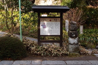 P2073923.jpg