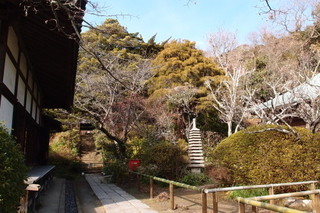 P2073929.jpg