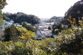 P2073941.jpg