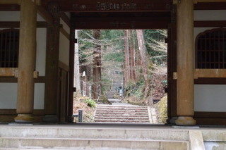 P2123963.jpg