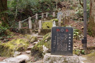 P2123970.jpg
