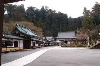 P2123990.jpg
