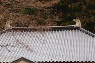 P2124001.jpg