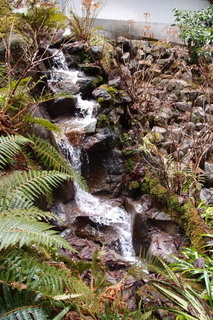 P2124042.jpg