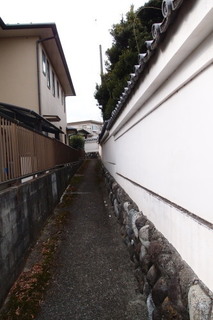 P2124123.jpg