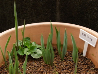 P2152028.jpg