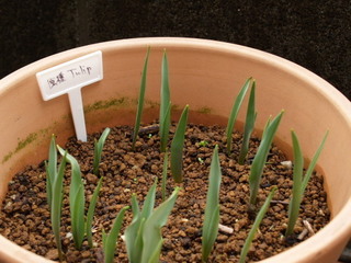 P2152030.jpg