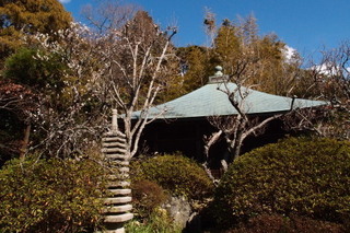 P2164131.jpg