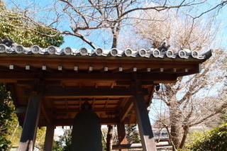 P2164148.jpg