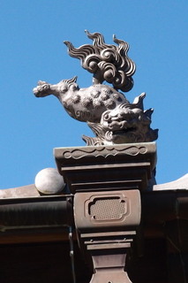 P2164155.jpg