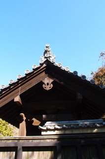 P2164157.jpg