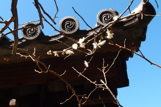 P2164160.jpg