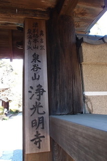 P2164163.jpg