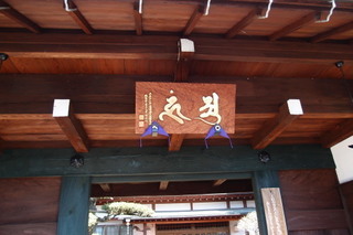 P2167571.jpg