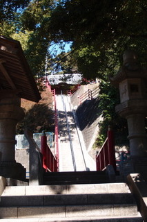 P2167587.jpg