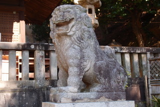 P2167591.jpg