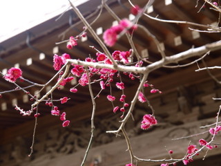 P2171623.jpg