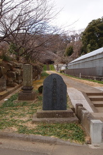 P2177615.jpg
