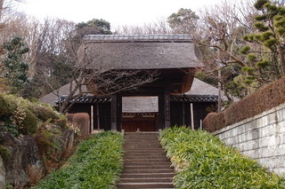 P2177617.jpg