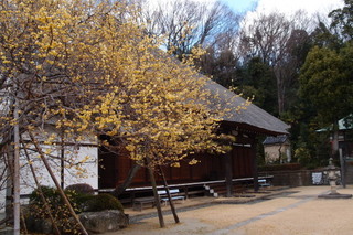 P2177620.jpg