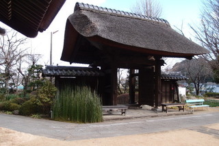 P2177637.jpg