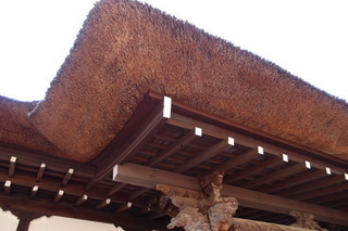 P2177647.jpg