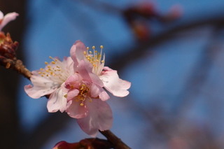 P2177664.jpg