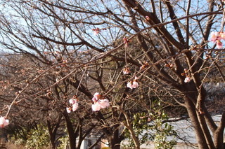 P2177665.jpg