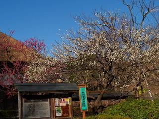 P2182038.jpg