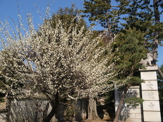 P2190307.jpg
